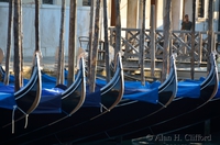 ahc_5559.jpg